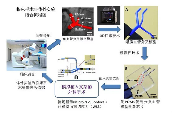 图片12.png