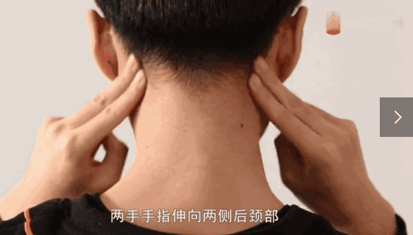 5.gif