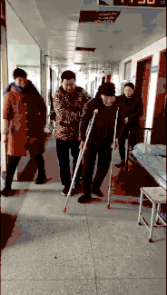 6.gif