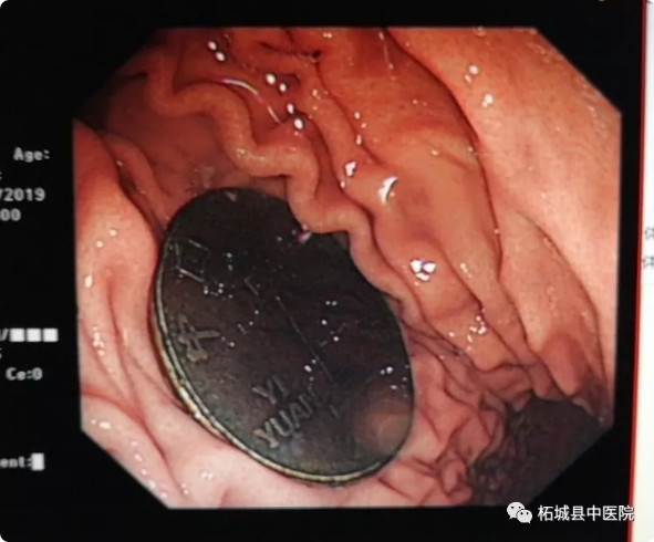 1565426717846007.jpg 2019-08-10_164317.jpg